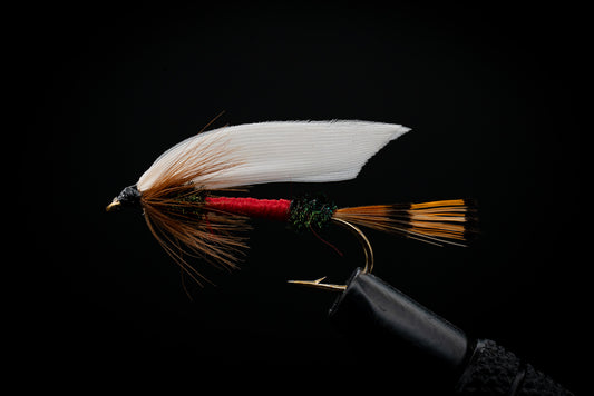 Royal Coachman Streamer