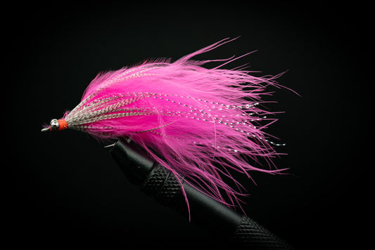 Salmon Tamer Pink