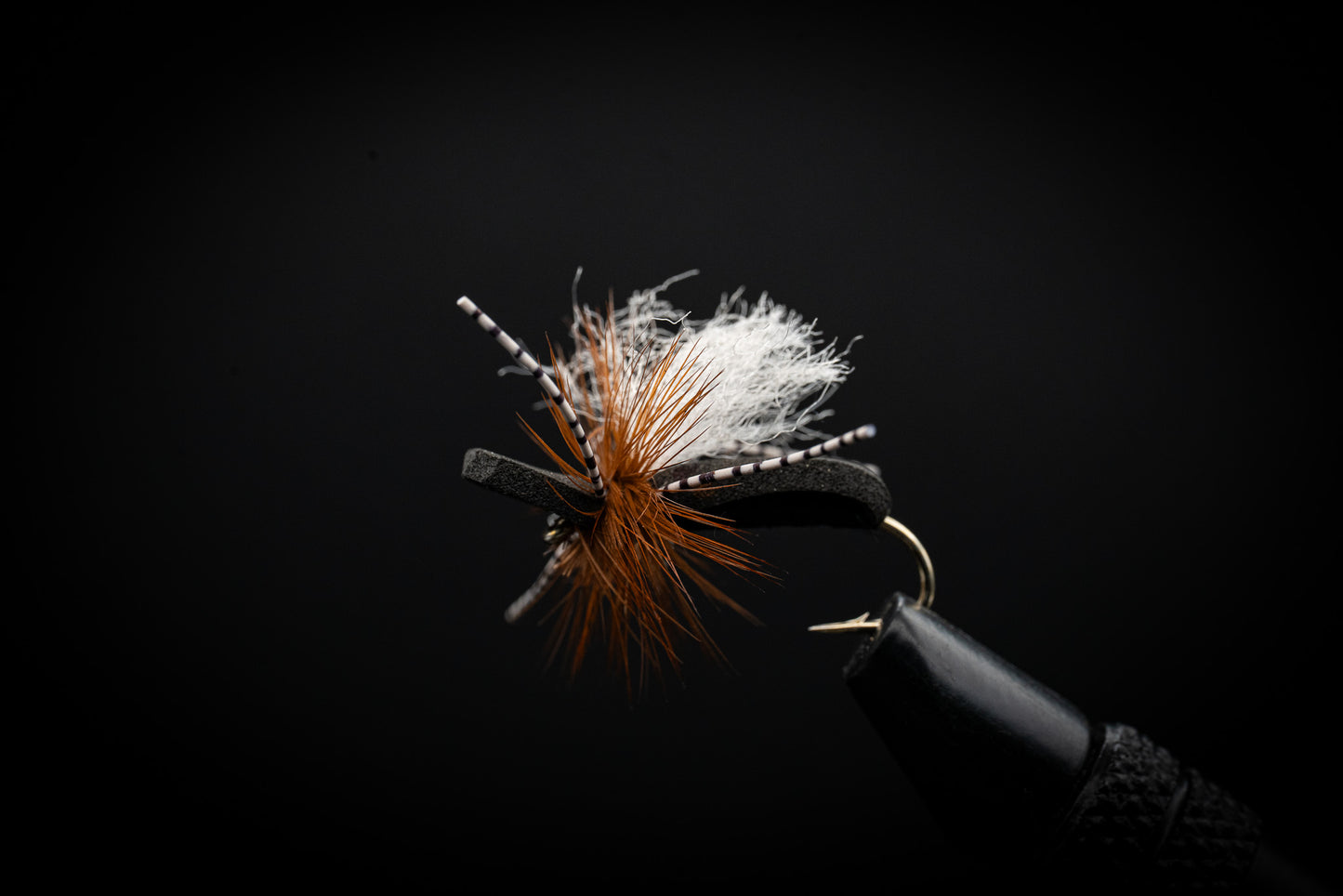 San Juan River Ant