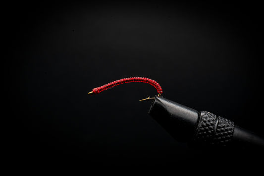 San Juan Worm Red