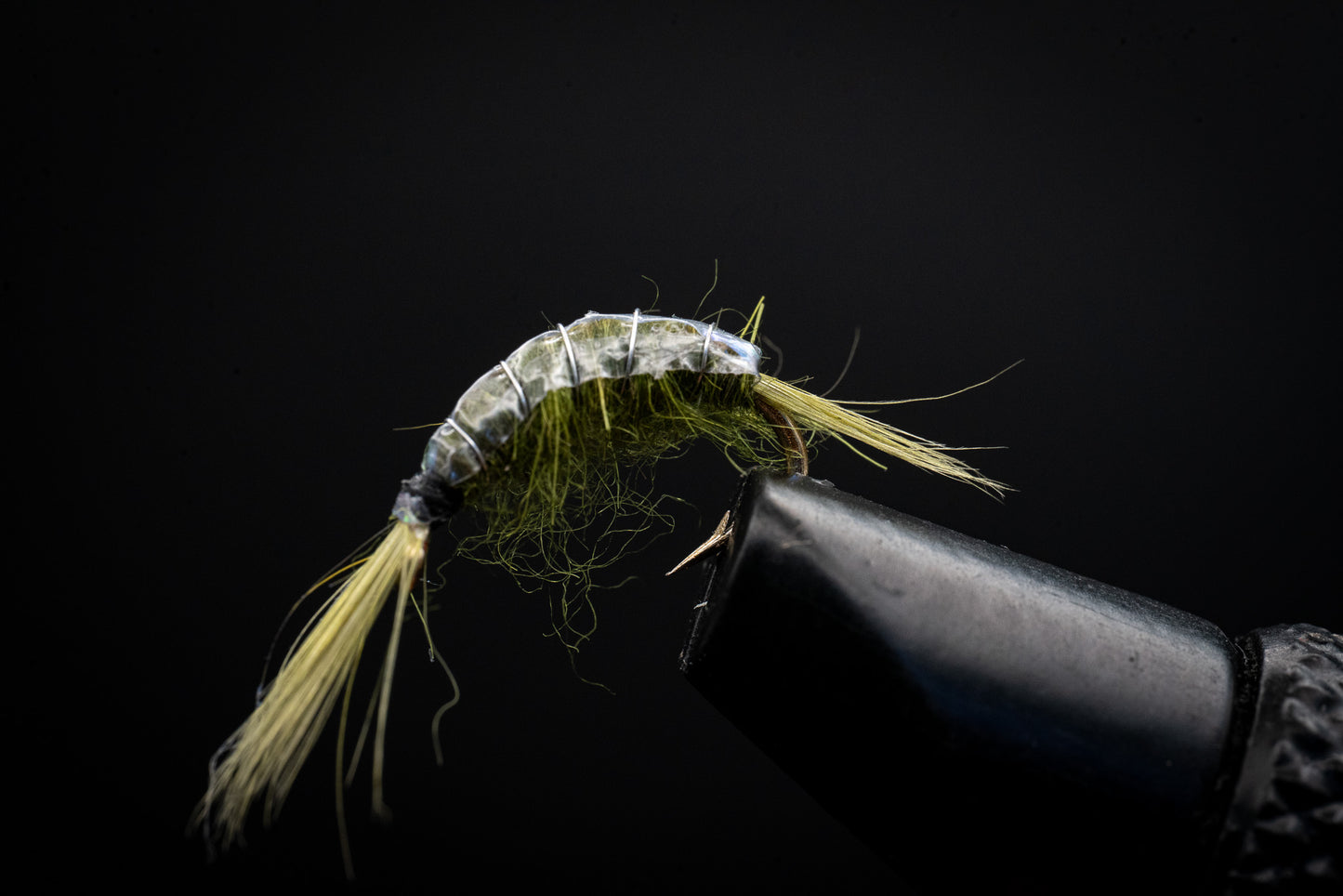 Scud Olive