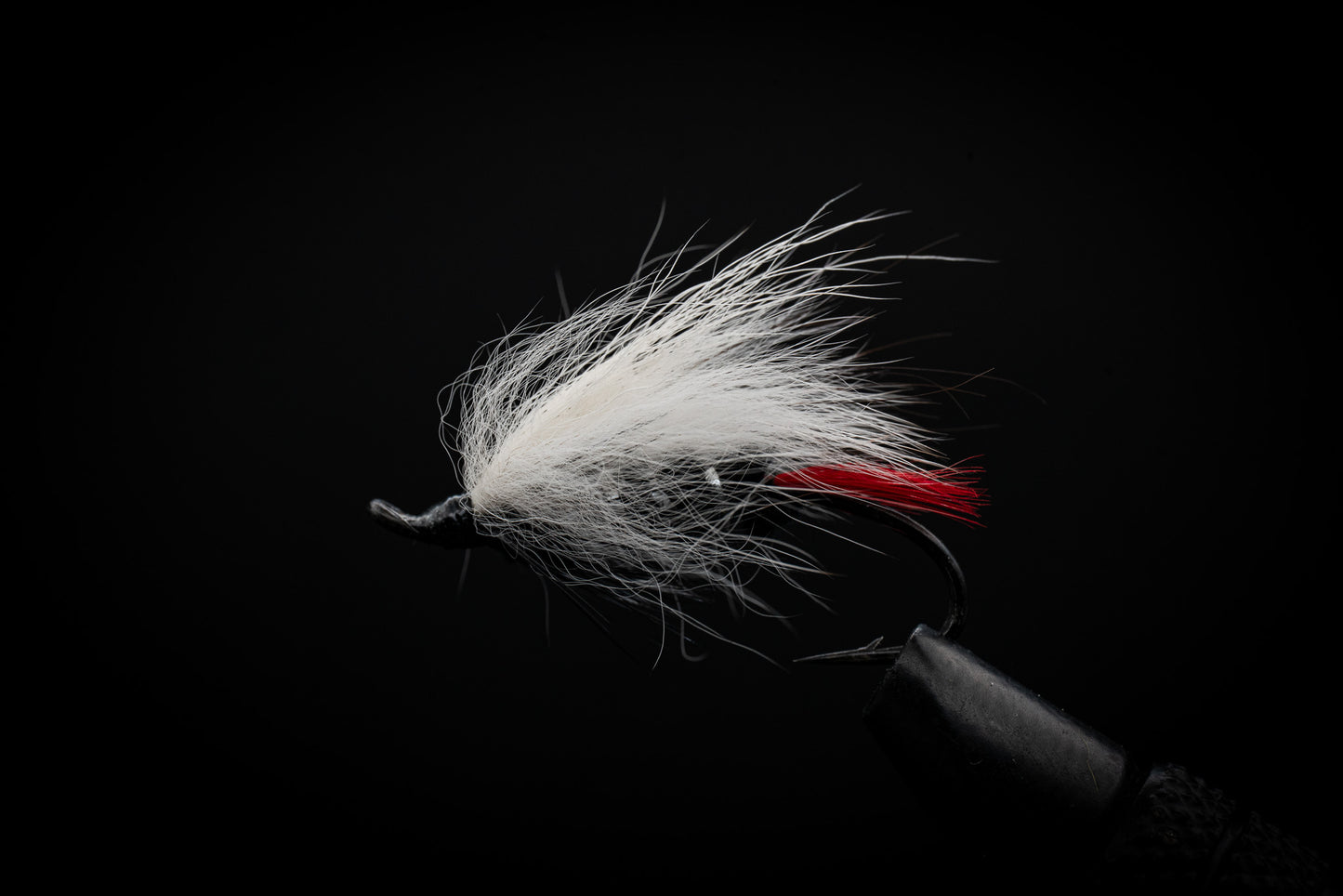 Skunk