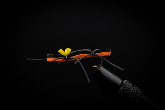 Snake River Chernobyl Ant