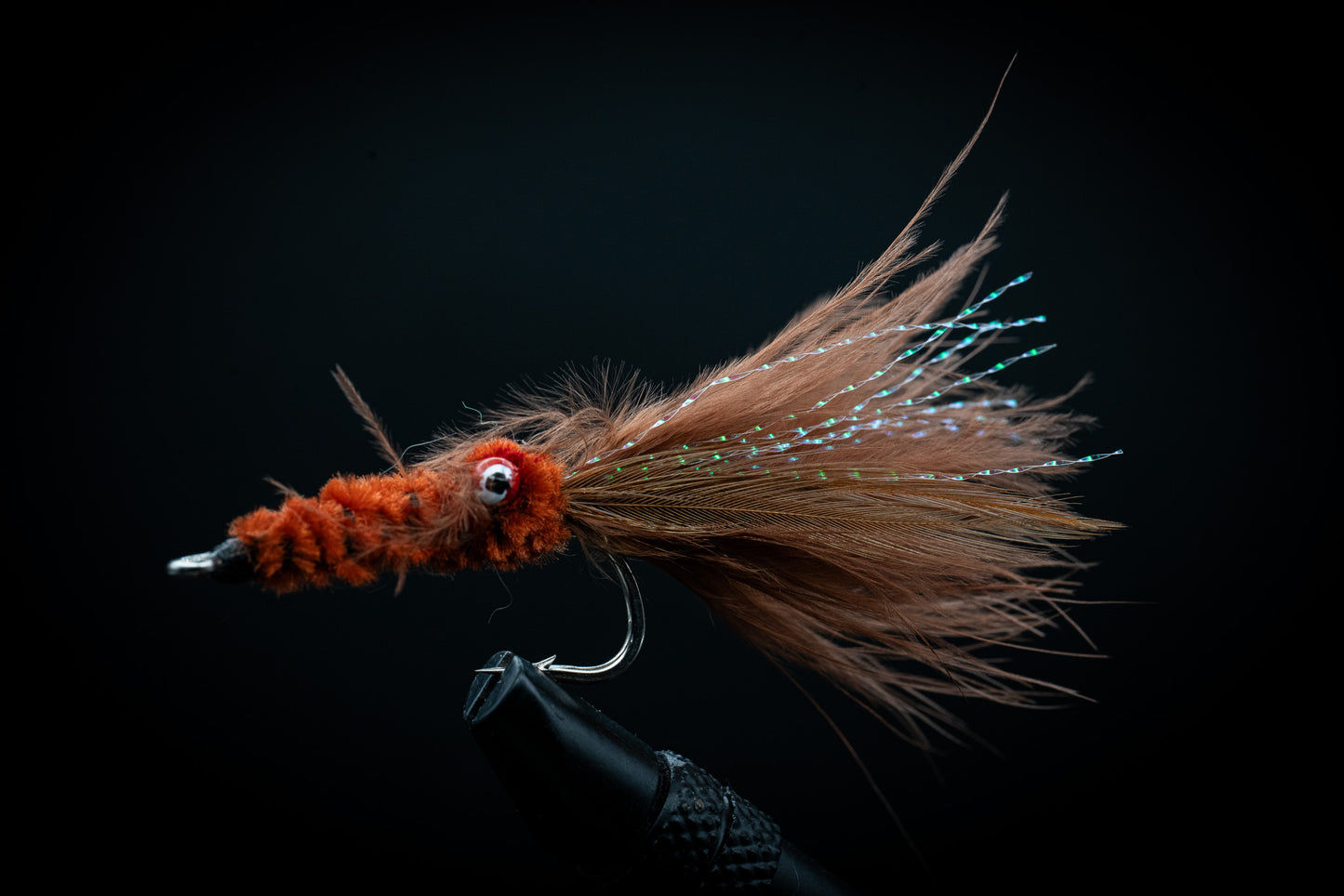 Squid Brown