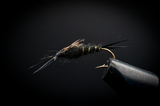 Stonefly Black