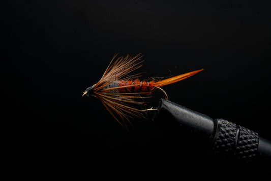 Stonefly Brown