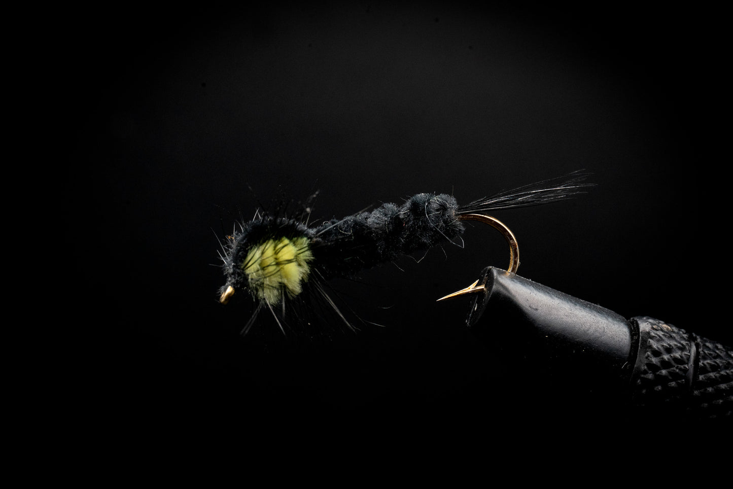 Stonefly Montana