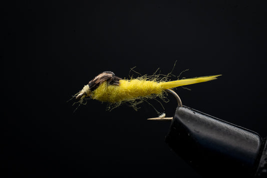 Stonefly Yellow
