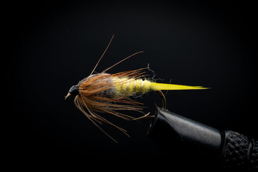 Stonefly Yellow/Brown