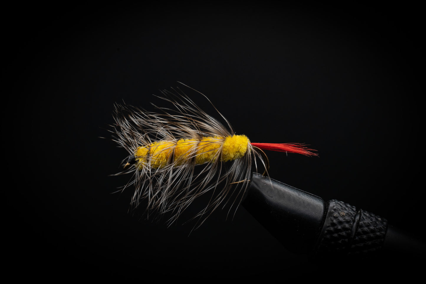 Woolly Worm Yellow