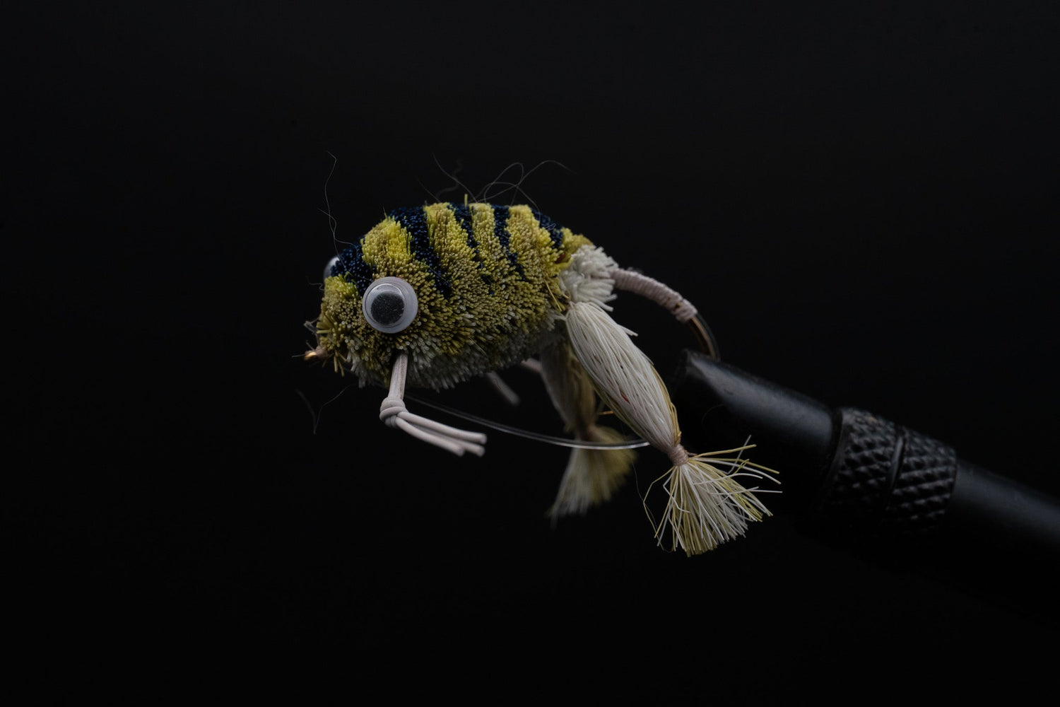 Bass