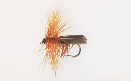 Picture of Caddis, Tent Wing