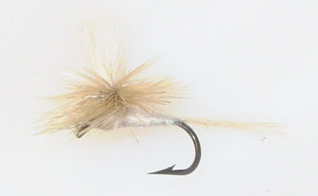 Picture of Cahill, Light Parachute
