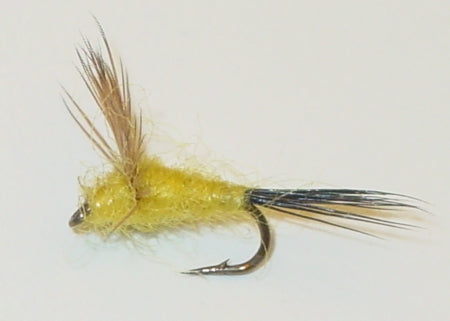 Picture of Comparadun, Yellow