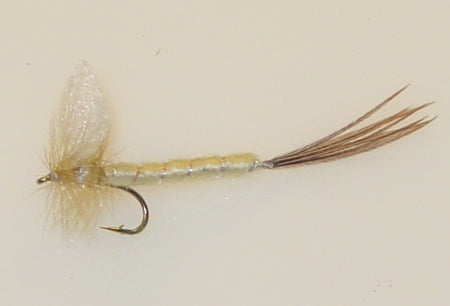 Picture of Mayfly, Cream