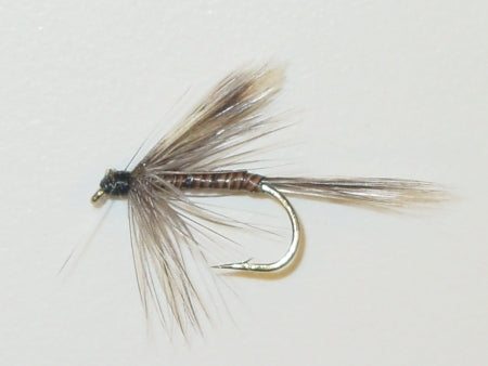 Picture of Mosquito Wet