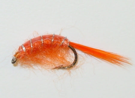 Picture of Scud Orange