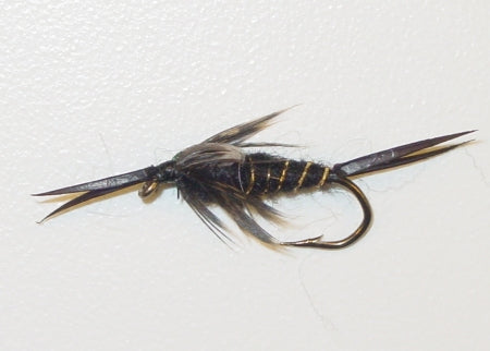 Picture of Stonefly Black