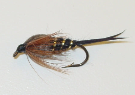 Picture of Stonefly Black/Brown