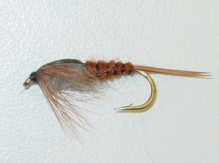 Picture of Stonefly Brown