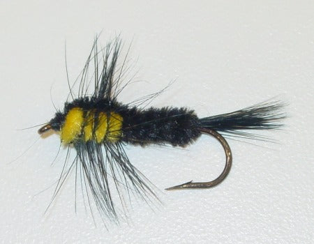 Picture of Stonefly Montana