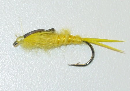 Picture of Stonefly Yellow