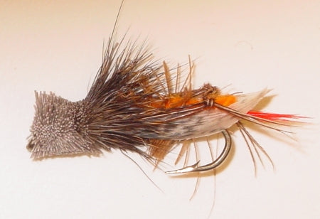 Picture of Hopper Dave's Orange