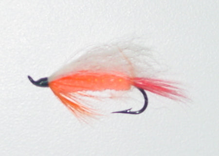 Picture of Polar Shrimp