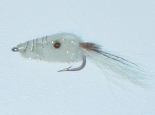 Picture of Ghost Shrimp