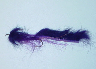 Picture of Nevada Leech Purple