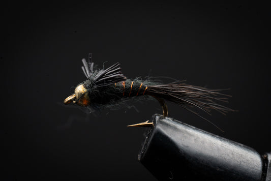 Beadhead AP Black Nymph