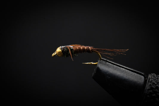 Beadhead Pheasant Tail Flashback