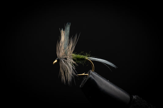 Blue Wing Olive