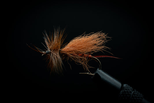 Birdstone Orange
