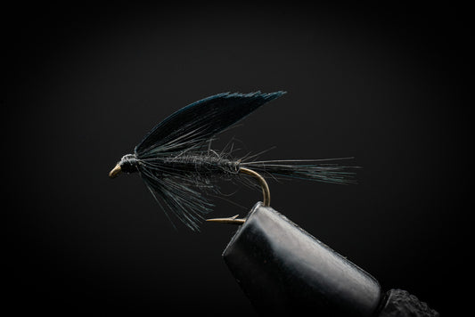 Black Gnat Wet