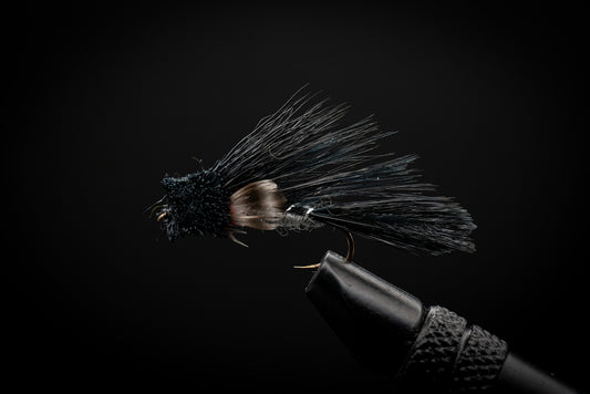 Black Red Gill