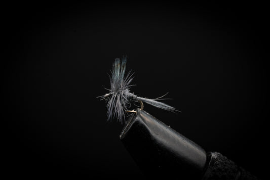 Blue Dun Midge