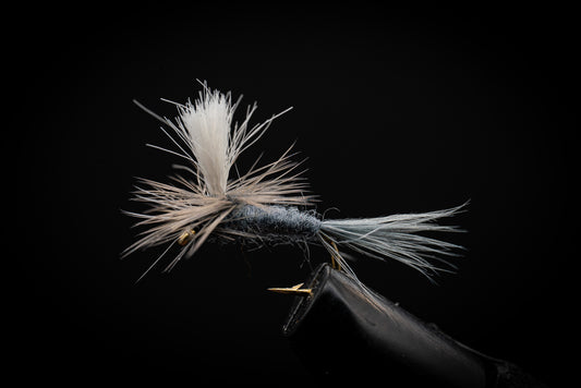 Blue Dun Parachute