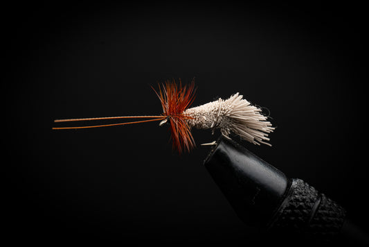Caddis, Goddard