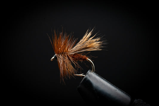 Caddis Varient, Dark
