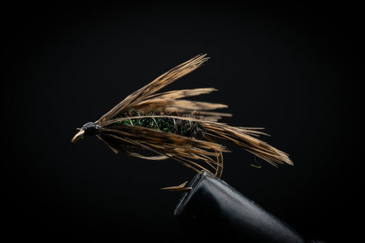 Carey Special Peacock