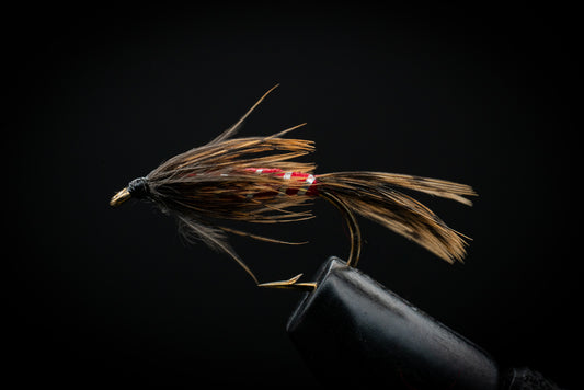 Carey Special Red