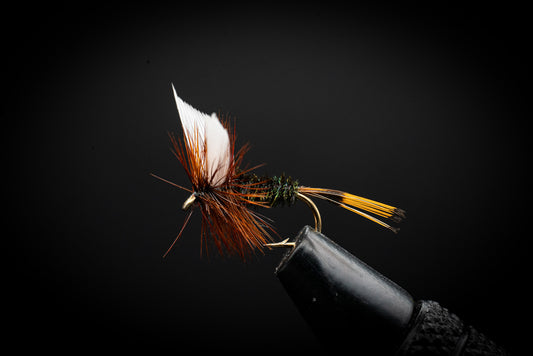Coachman