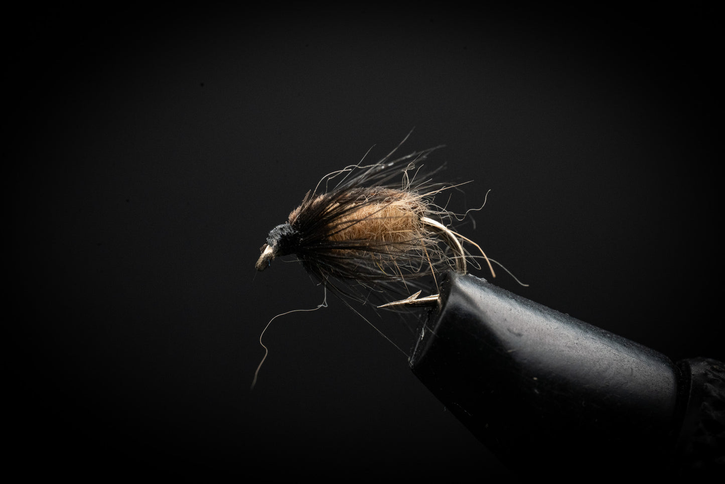 Colorado Caddis