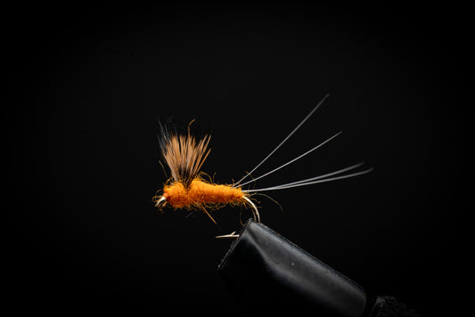 Comparadun, Orange