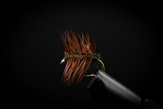 Crackleback, Olive