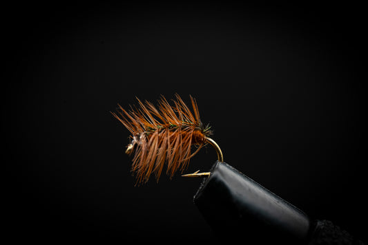 Crackleback, Brown