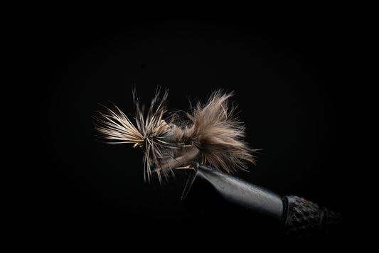 Mayfly Cripple Callibaetis