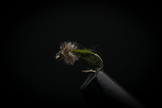 Nymph Olive