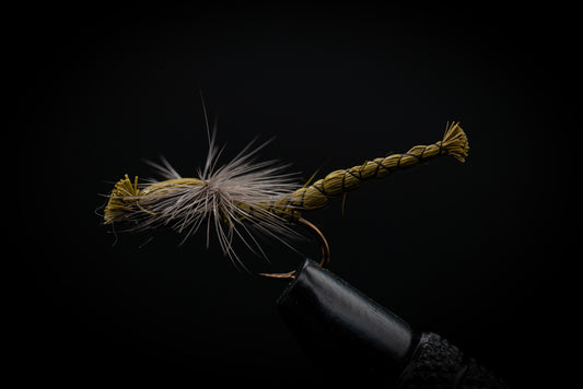 Ultra Damsel, Olive